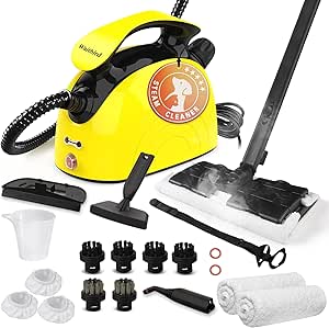 Waitbird Multipurpose Steam Cleaner with 21 Accessories